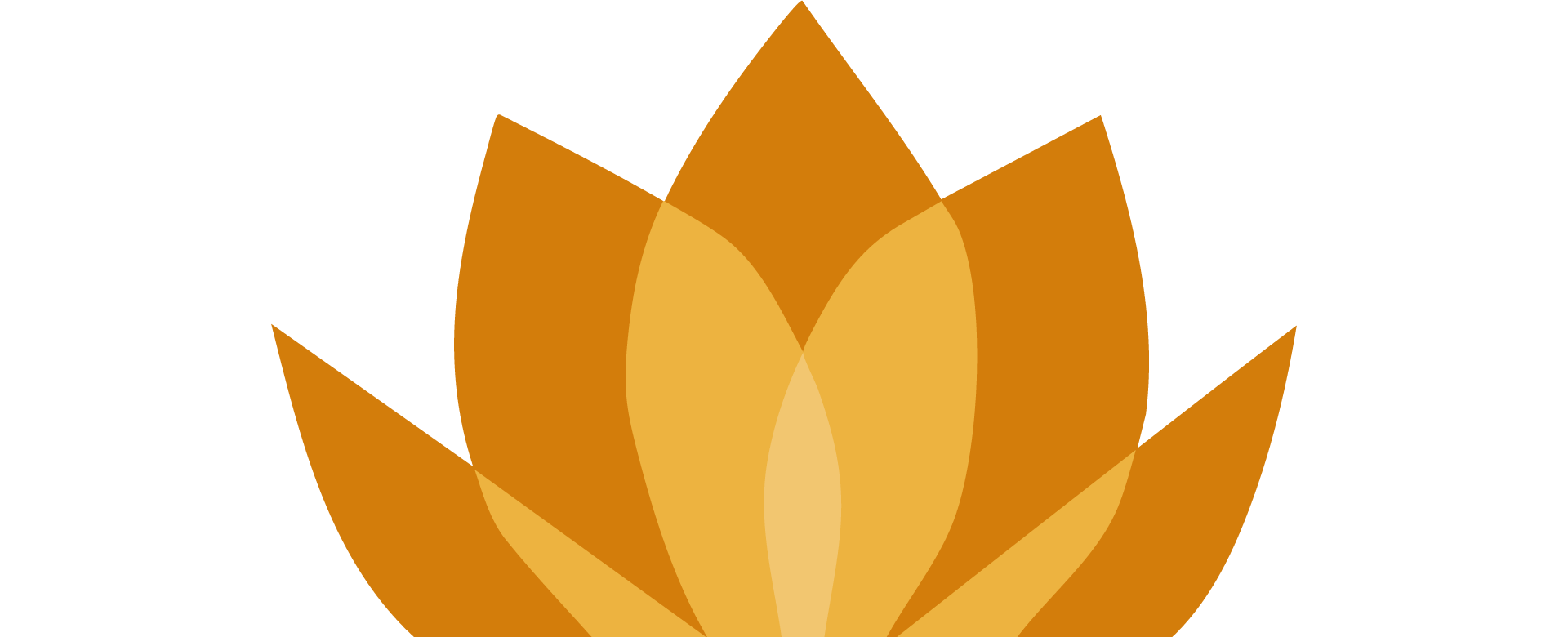 IRPE_Summer-To-Summer_Institute_icon